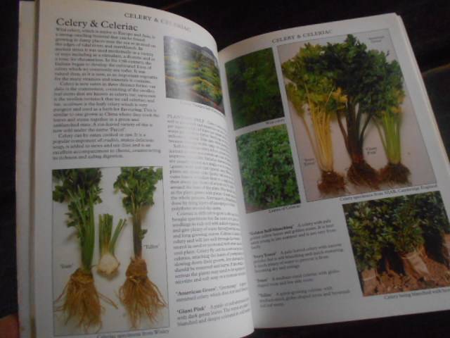 Salad Plants for your garden - (how to grow them)  Roger Phillips & Martyn Rix