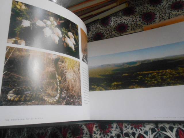 STEPHAN WOLFART - THE SOUTHERN TIP OF AFRICA  (Richest Biioversity) - 1st ed 2006 illus hardback