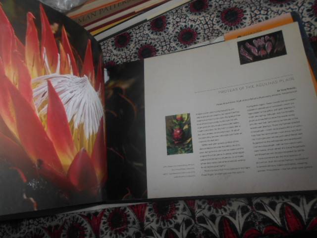 STEPHAN WOLFART - THE SOUTHERN TIP OF AFRICA  (Richest Biioversity) - 1st ed 2006 illus hardback