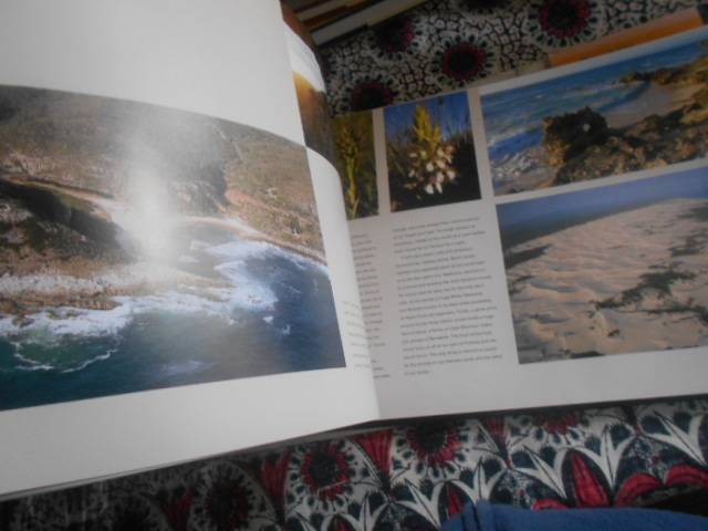 STEPHAN WOLFART - THE SOUTHERN TIP OF AFRICA  (Richest Biioversity) - 1st ed 2006 illus hardback