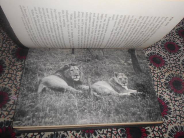 PORI TUPU (The Bush) - OSKAR KOENIG - Michel Joseph  1955 2nd ed. illus