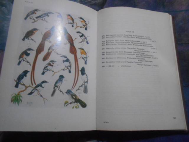 Roberts Birds of South Africa : McLachlan & Liversidge red illustrated  hardback 1981