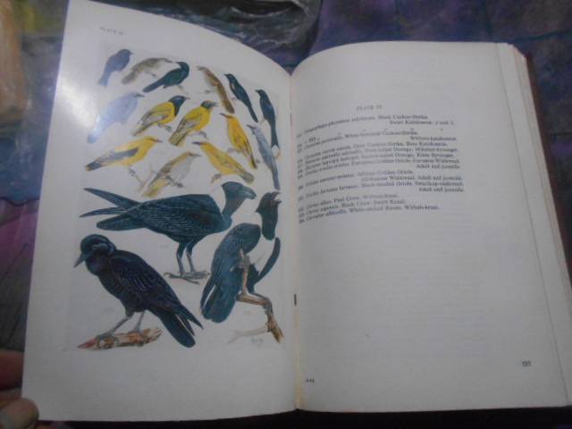 Roberts Birds of South Africa : McLachlan & Liversidge red illustrated  hardback 1981