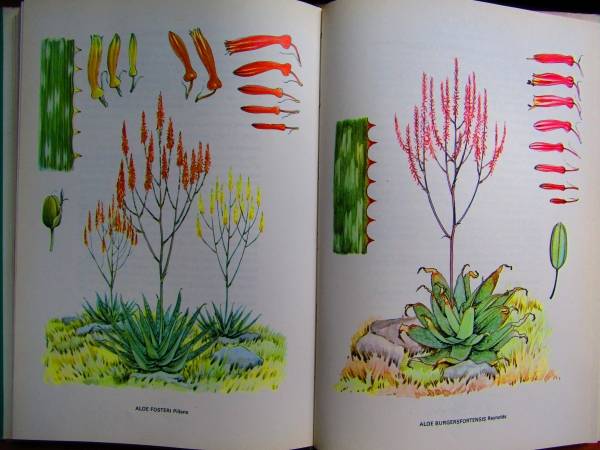 Aloe Book