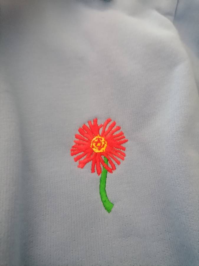 NORTHERN TRANSVAAL RUGBY JERSEY Medium (M) - Long Sleeve - Brand New - MADE BY Retro Ruppy