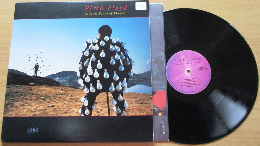 PINK FLOYD Delicate Sound of Thunder 2xLP VINYL RECORD