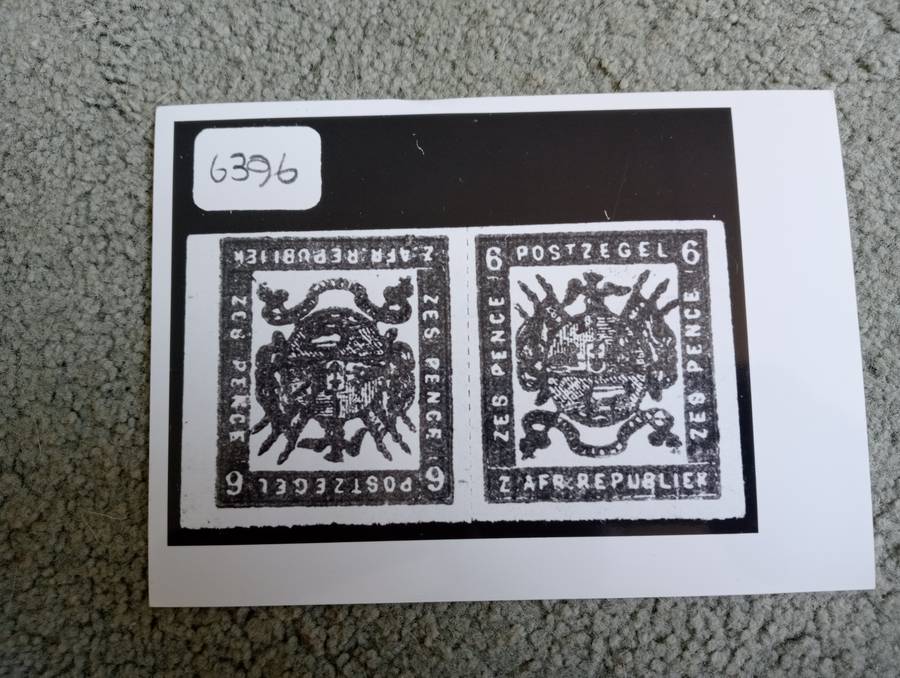 TRANSVAAL-NICE LARGE PHOTO OF A TVL TETEBECHE PAIR-REF.ITEM