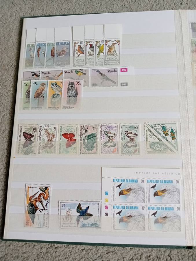 BIRDS AND MORE BIRDS SETS ETC   TWO FULL STOCK PAGES   " ANY BUY NOW`S GETS FREE GIFTS "SEE BELOW