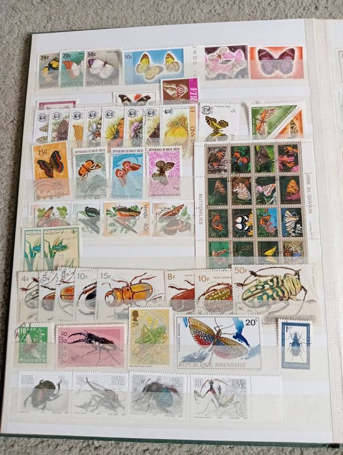BUTTERFLIES ETC SETS ETC   TWO FULL STOCK PAGES   " ANY BUY NOW`S GETS FREE GIFTS "SEE BELOW
