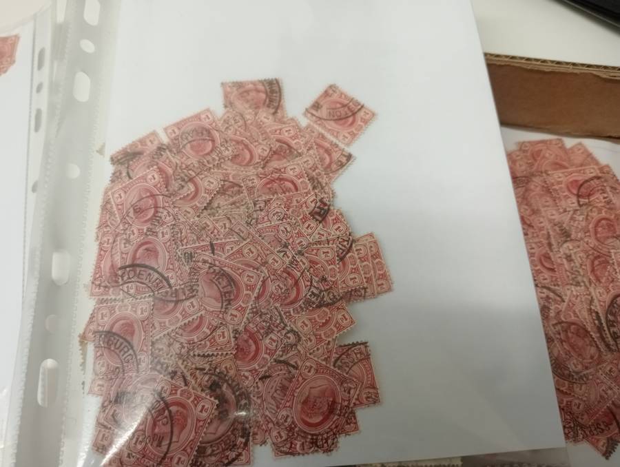 TRANSVAAL   1000`s OF VFU PENNIES-RESEARCH LOT 1 BOX AND 3 PACKETS