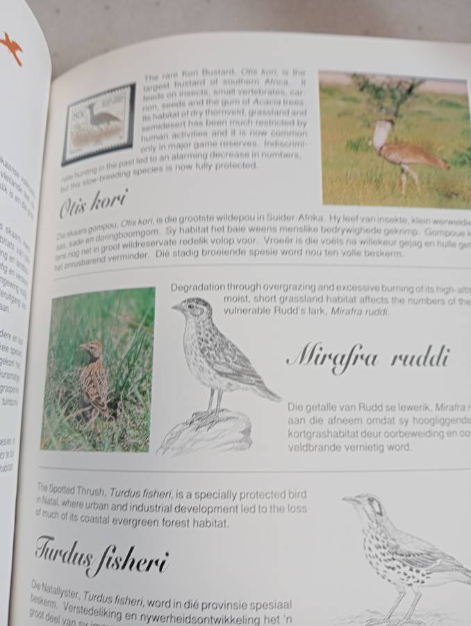 RSA-LOVELY FAUNA AND FLORA DEFINITIVE BOOK WITH ALL THE ISSUES