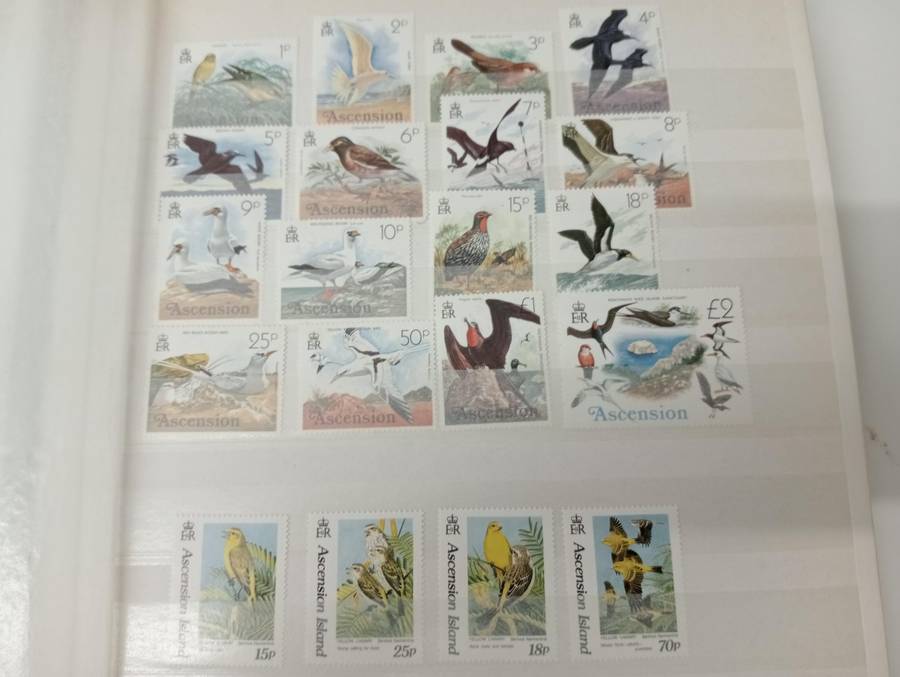 BIRDS SETS SOME OF WHICH ARE VERY SCARCE LIKE BRUNIE ETC-SEE ALL THE LOTS TODAY !!!