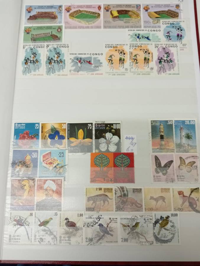 Thematics-UMM/Used Birds, Paintings, Buildings