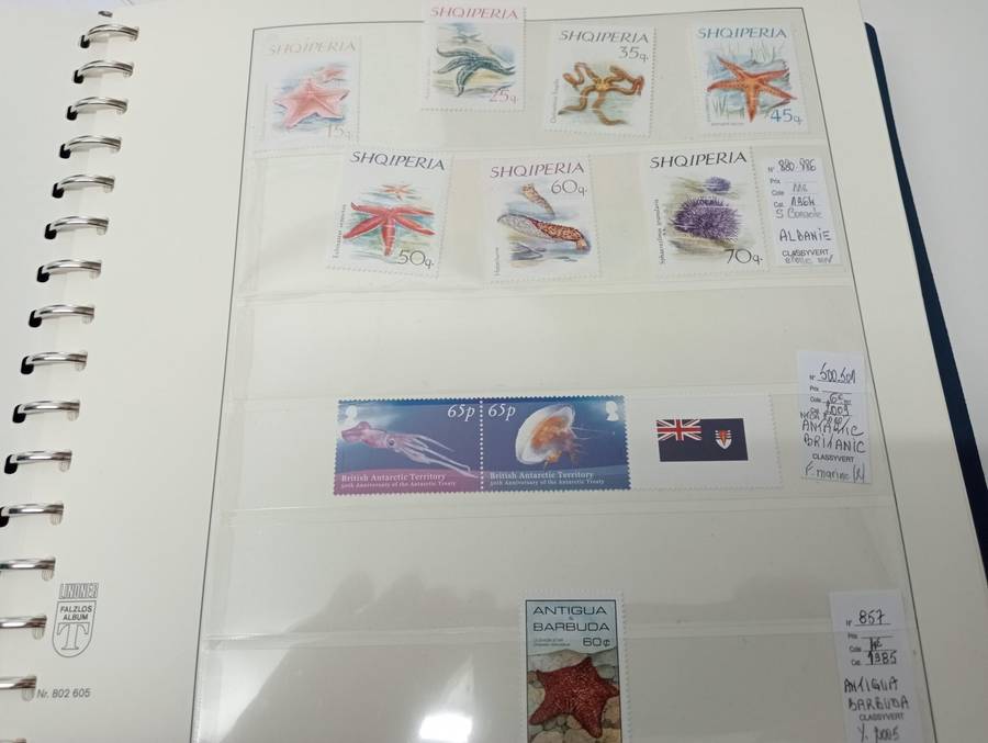 FISH SETS AND m/sheets   all umm some scarce high values.
