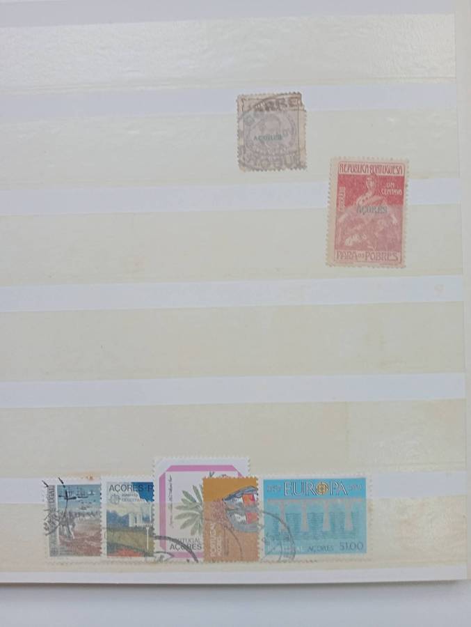 STOCK BOOK- TIMOR ETC