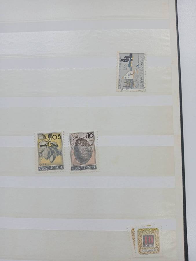 STOCK BOOK- TIMOR ETC