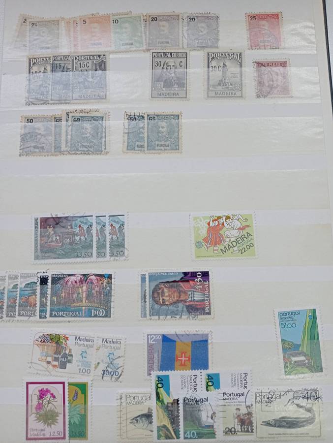 STOCK BOOK- TIMOR ETC