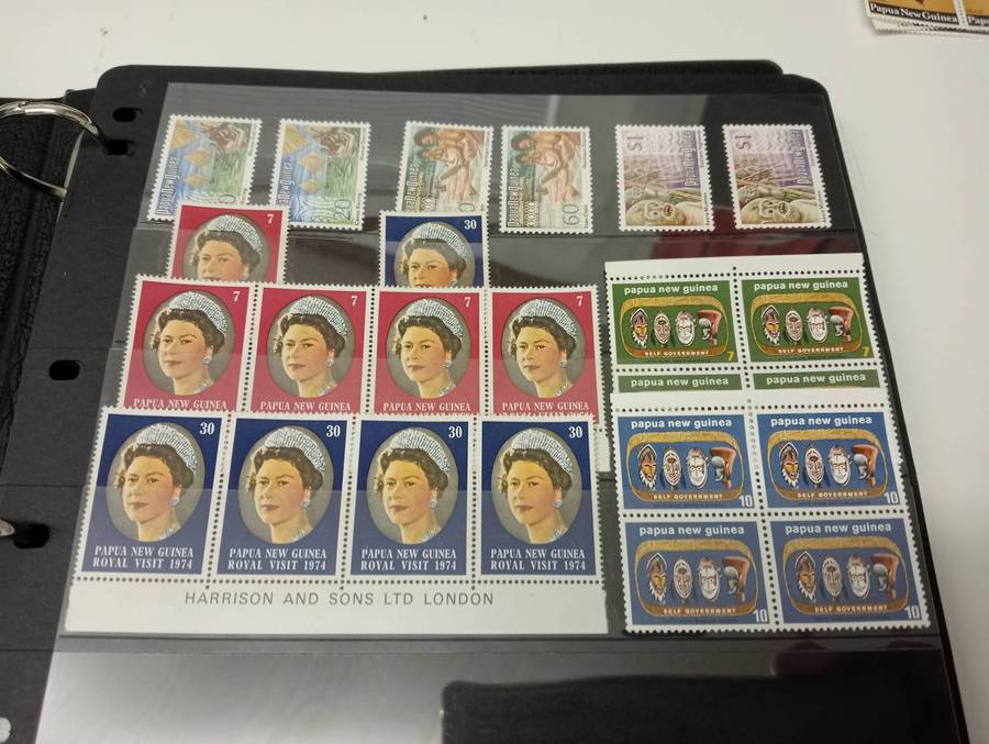 PAPUA NEW GUINEA-LOVELY COLLECTION CONTROLS AND MUCH MORE UMM odd minor light tone.12 FULL PAGES