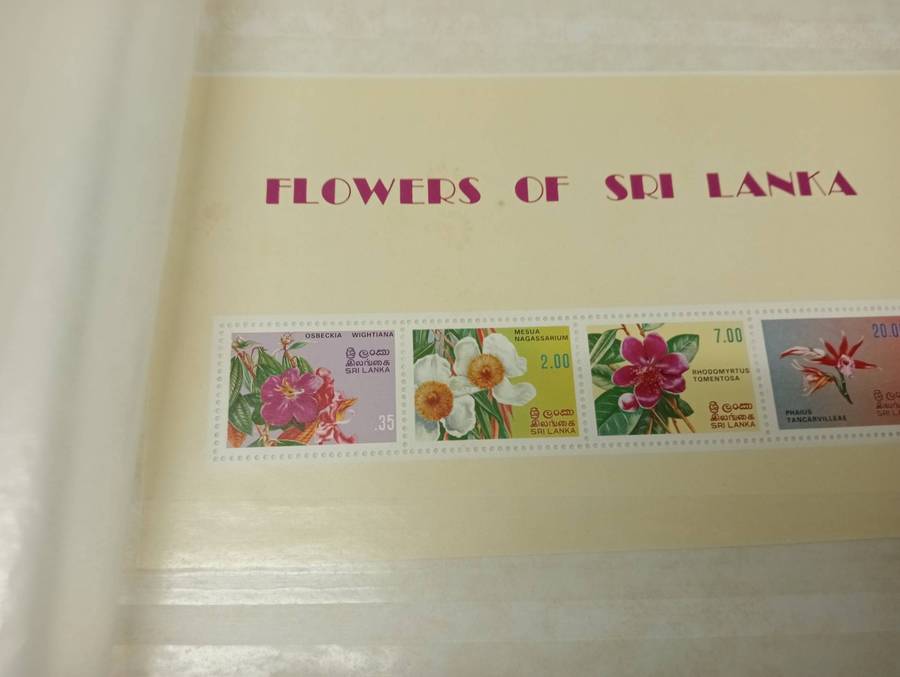 LARGE STOCK BOOK-SRI LANKA-MANY UMM/used ISSUES AND MINI SHEETS