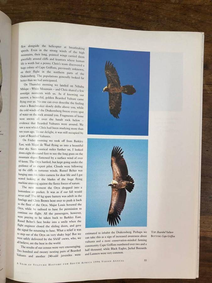 Vision 1996 Annual - Wildlife, Ecotourism and the Environment in Southern Africa (Hardcover no dj)