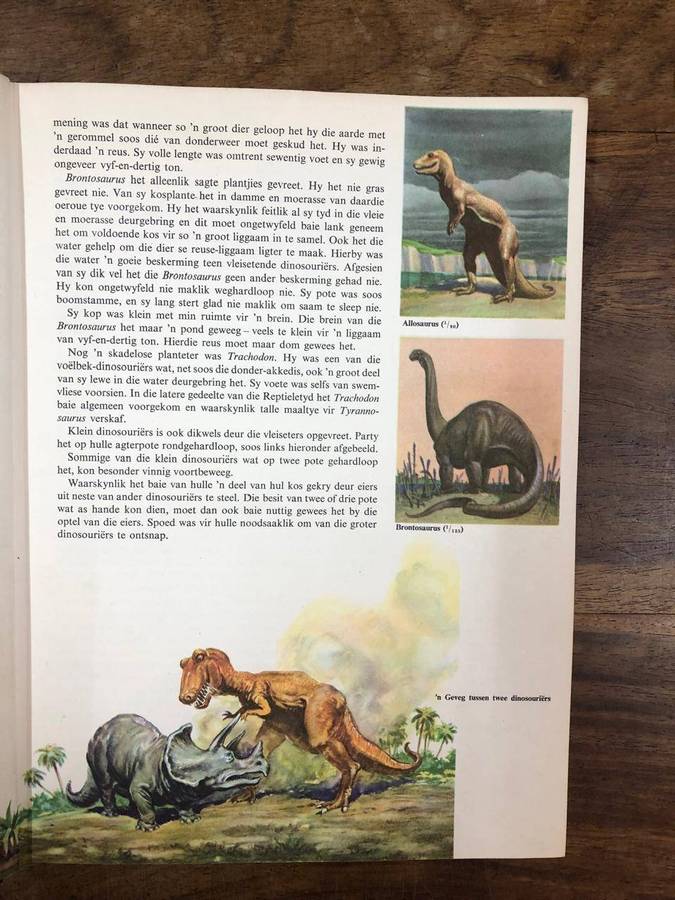 Wondere van die Skepping - Bertha Morris Parker (Hardcover with no dj)
