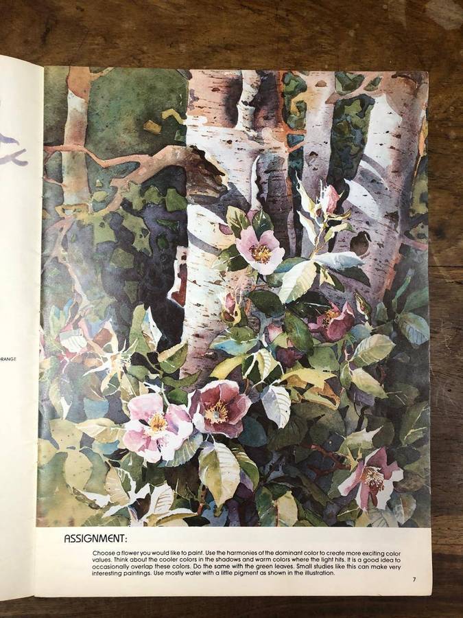 Transparent Watercolor Workshop - Rose Edin (Paperback)