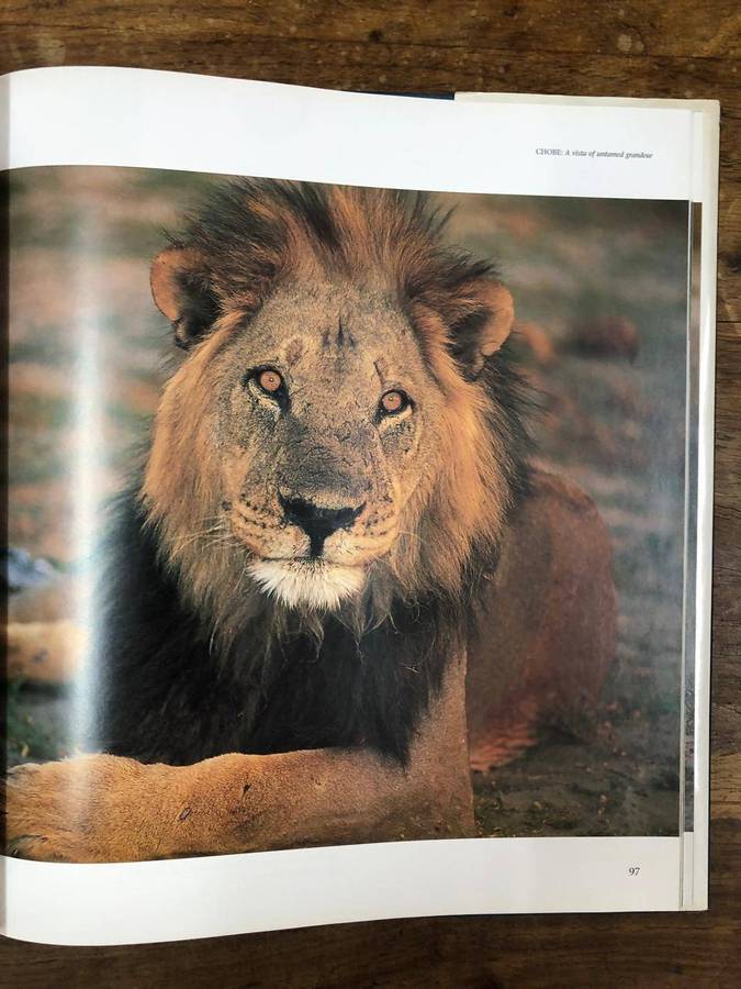 Chobe - Daryl and Sharna Balfour (Hardcover with dj)