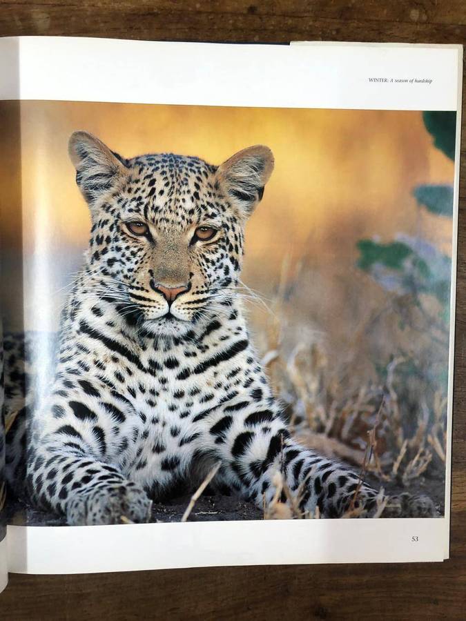 Chobe - Daryl and Sharna Balfour (Hardcover with dj)