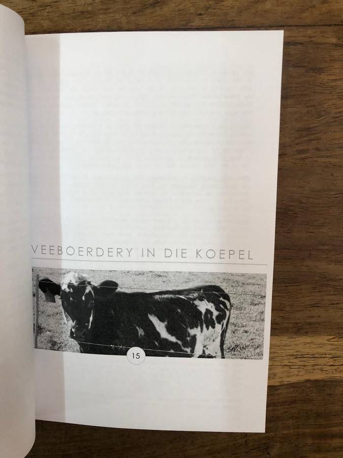 n Lewe in die Koepel - Kobus Du Pisani (Paperback)