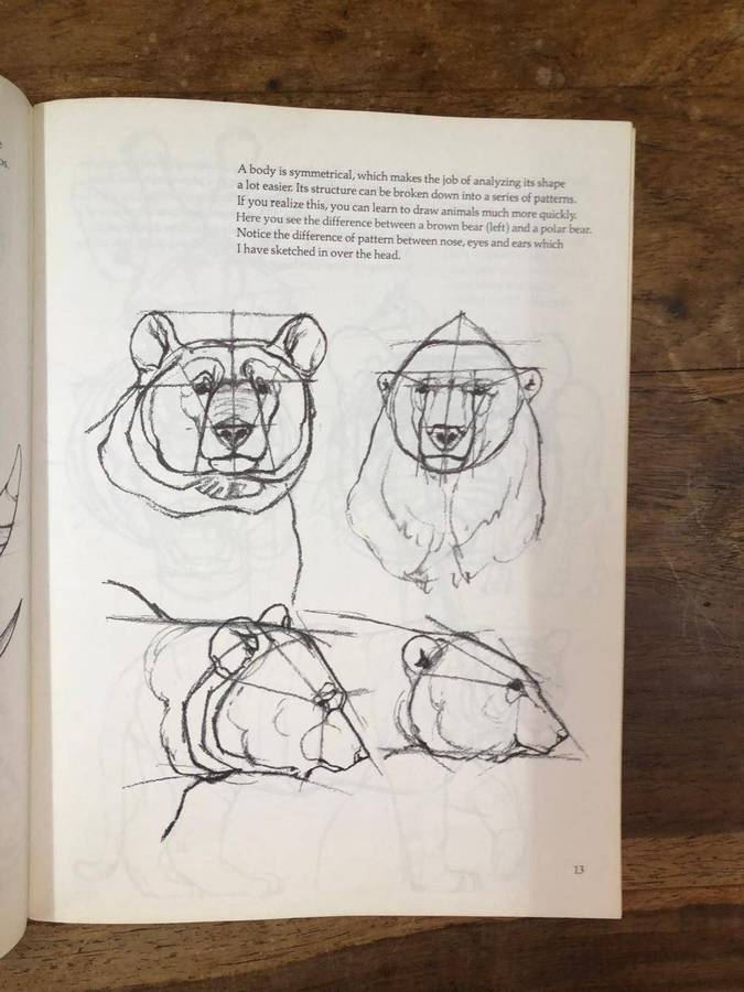Draw Wild Animals - David Brown (Paperback)