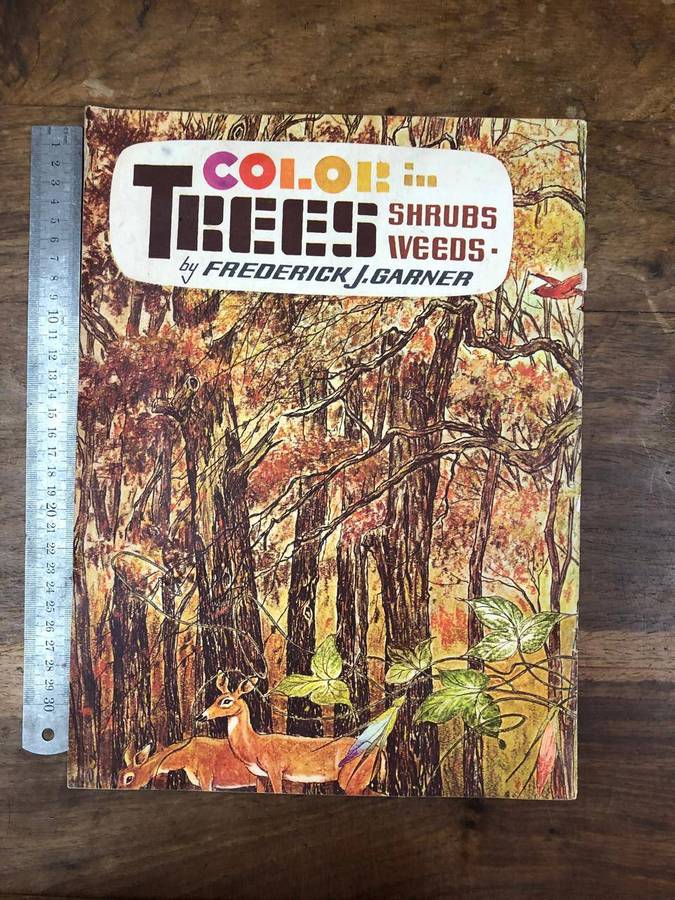 Color in Trees, Shrubs and Weeds - Frederick J Garner (Paperback)