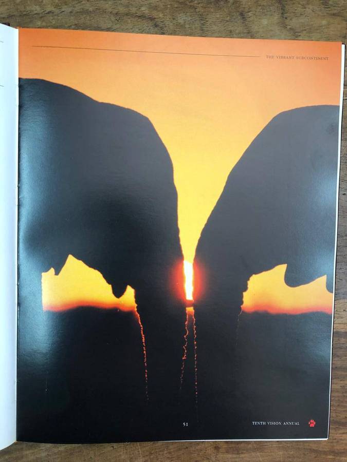 Vision 10th Edi - Wildlife, Ecotourism and the Environment in Southern Africa (Hardcover with no dj)
