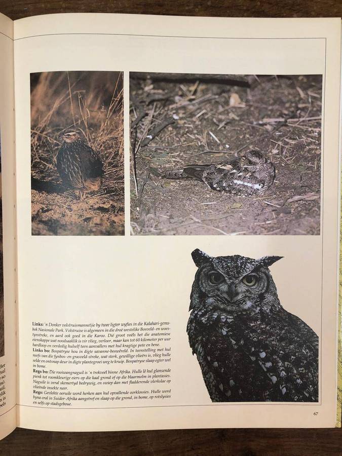 Natuurerfenis van Suider-Afrika - David Bristow (Hardcover with no dj)