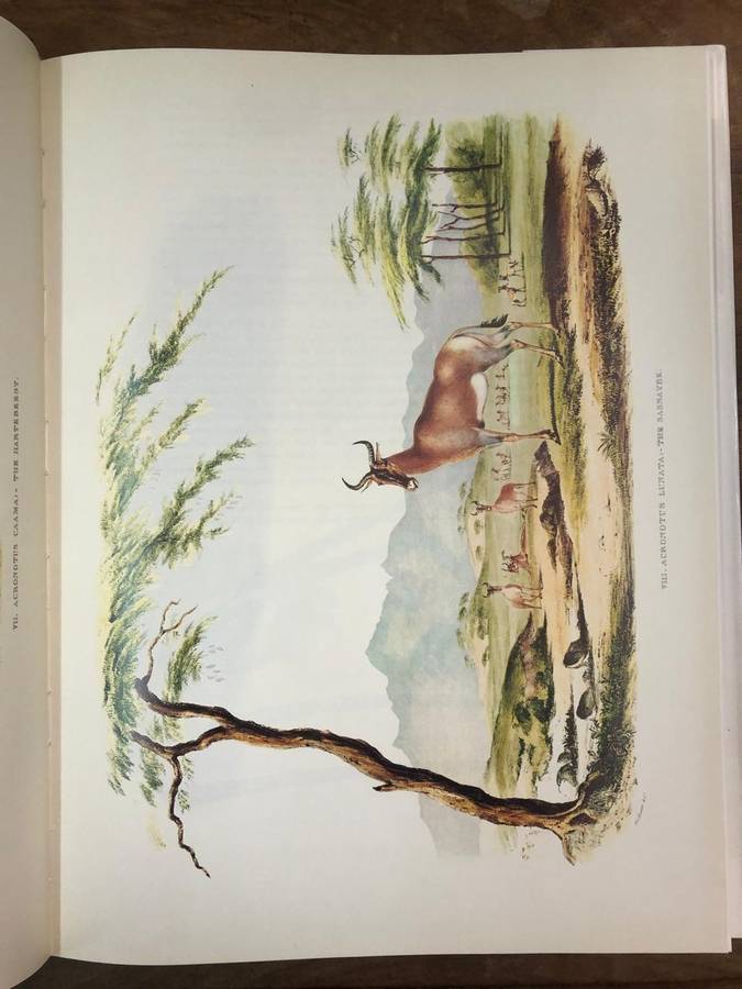 Portraits of the Game and Wild Animals of Southern Africa - Captain W Cornwallis Harris (Hardcoverdj