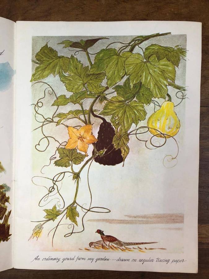 Color in Trees, Shrubs and Weeds - Frederick J Garner (Paperback)