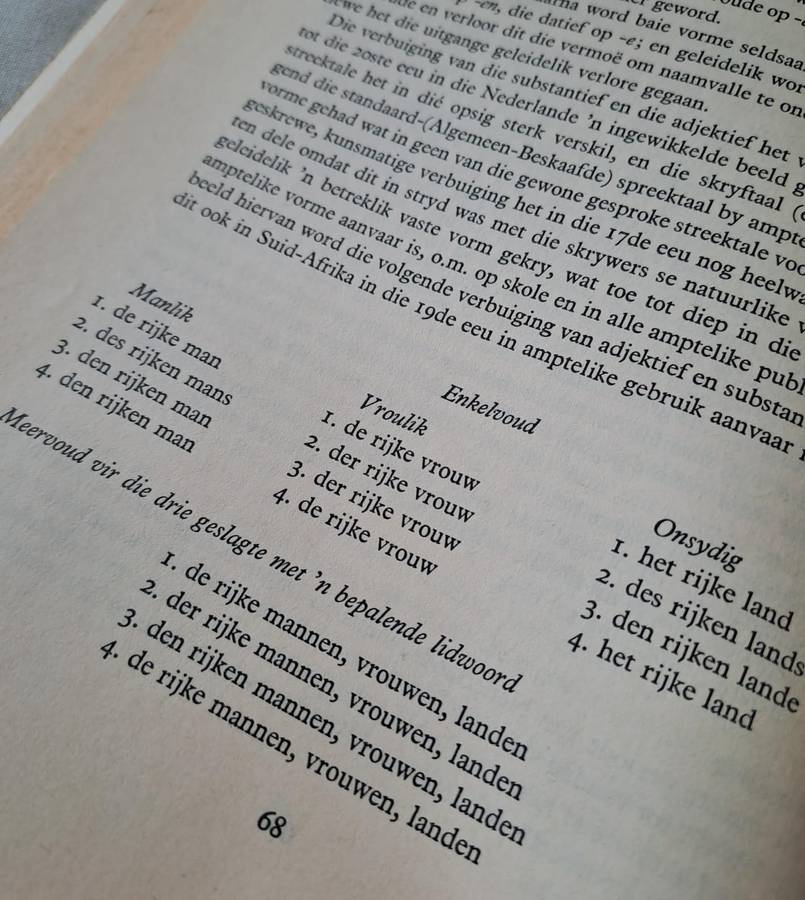 Nederlands en Afrikaans - M. de Villiers (paperback)