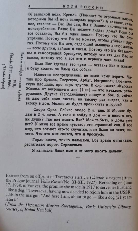 A Captive spirit: Selected Prose - Marina Tsvetaeva (paperback)