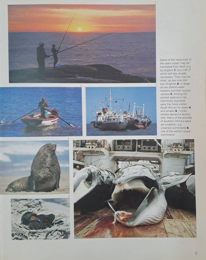 Secrets of the sea - Payne, Crawford, Van Dalsen (paperback)