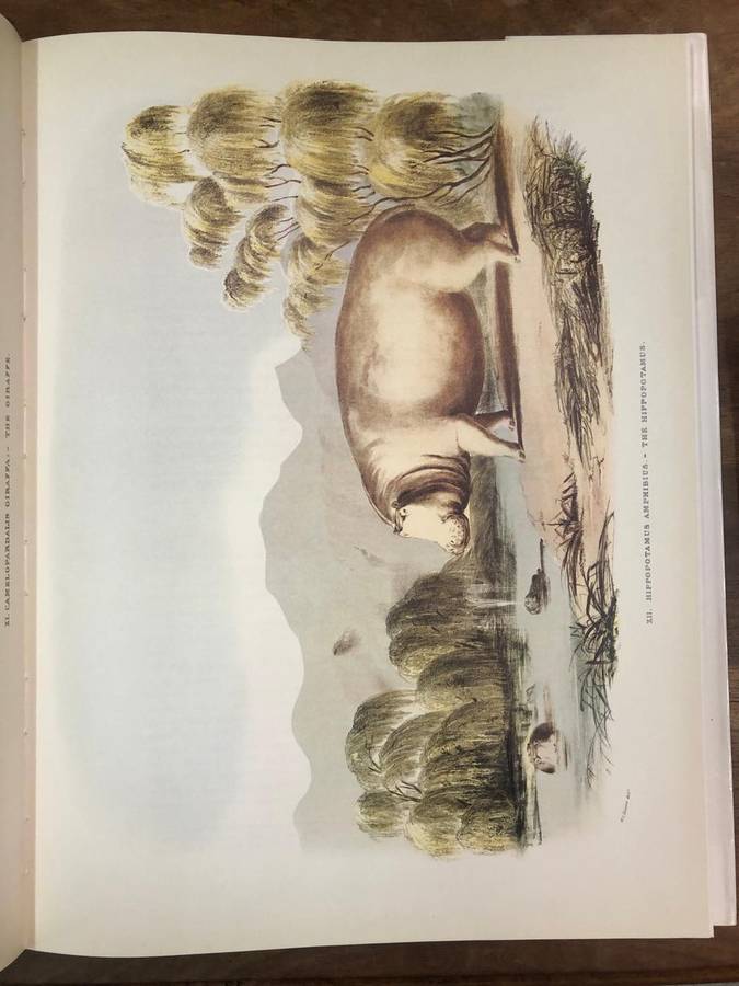 Portraits of the Game and Wild Animals of Southern Africa - Captain W Cornwallis Harris (Hardcoverdj