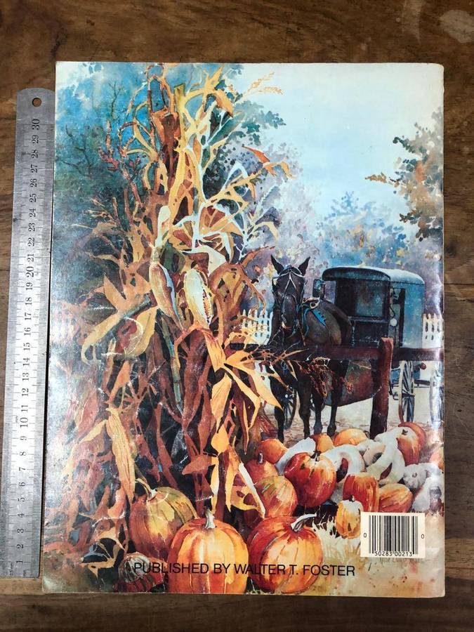 Transparent Watercolor Workshop - Rose Edin (Paperback)