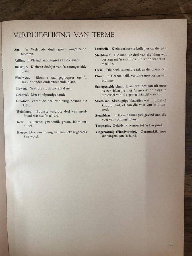 Ses en Sestig Transvaalse Bome - B De Winter, Mayda De Winter en DJB Killick (Paperback)