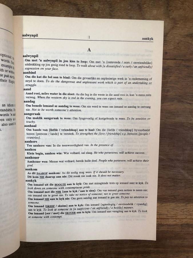 Afrikaanse Idiome en ander Vaste Uitdrukkings - RP Botha (Paperback)