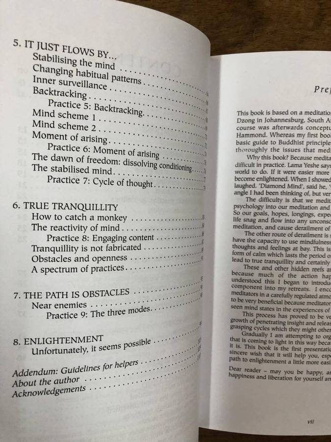 Diamond Mind - Rob Nairn (Paperback)