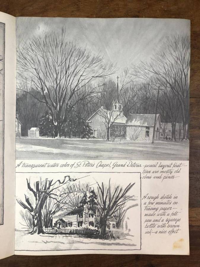 Color in Trees, Shrubs and Weeds - Frederick J Garner (Paperback)