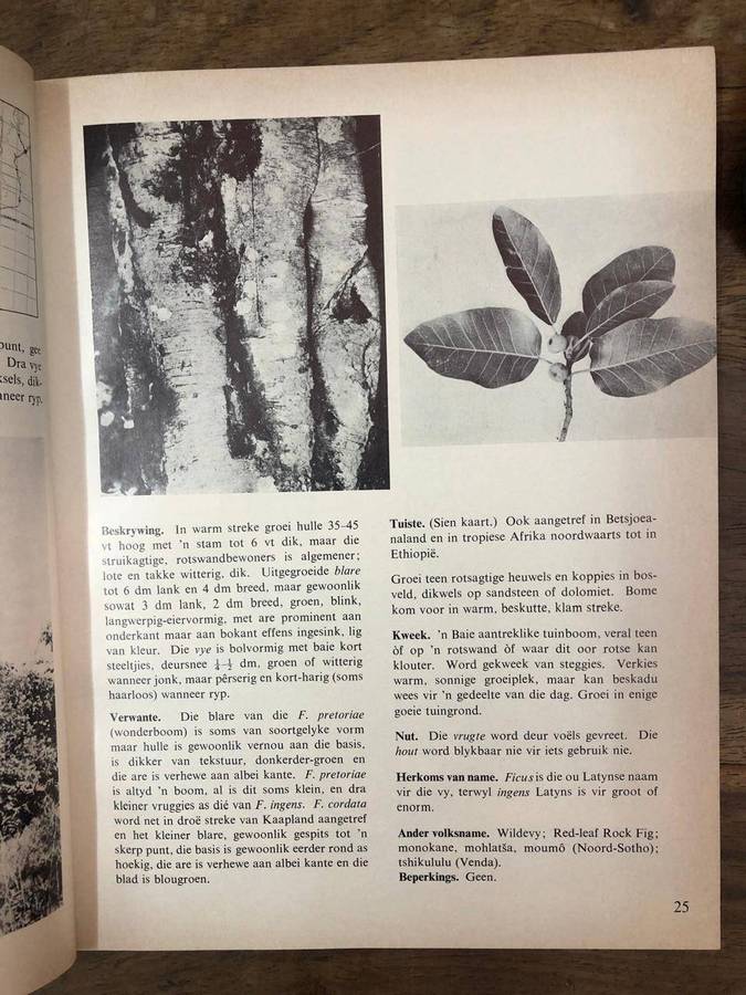 Ses en Sestig Transvaalse Bome - B De Winter, Mayda De Winter en DJB Killick (Paperback)