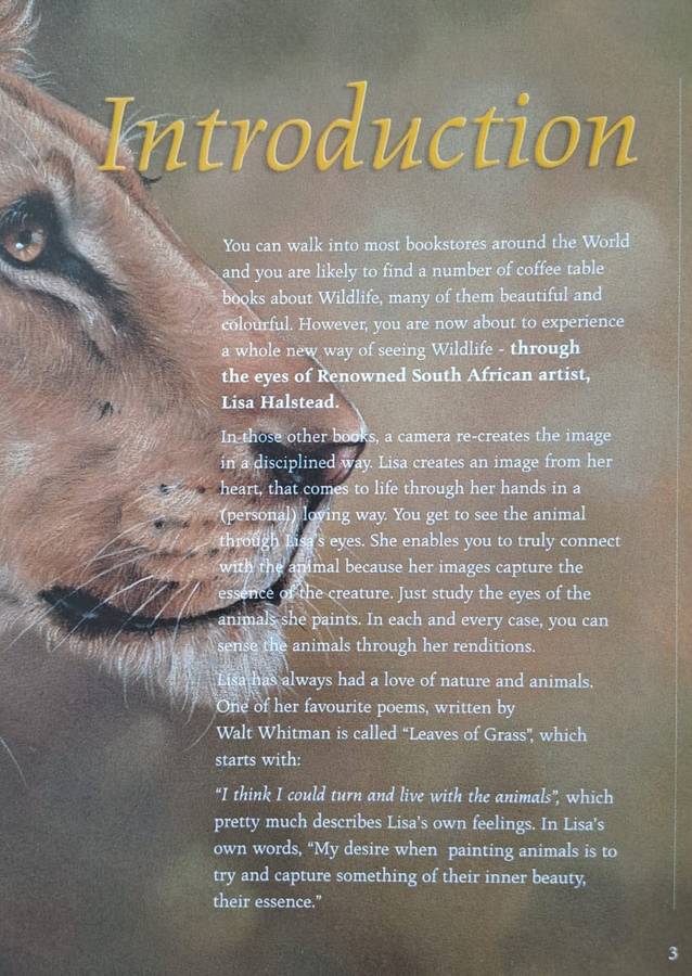 "Out of the Meek, comes the Wild" - David Elliot Wien (Hardcover with DJ)