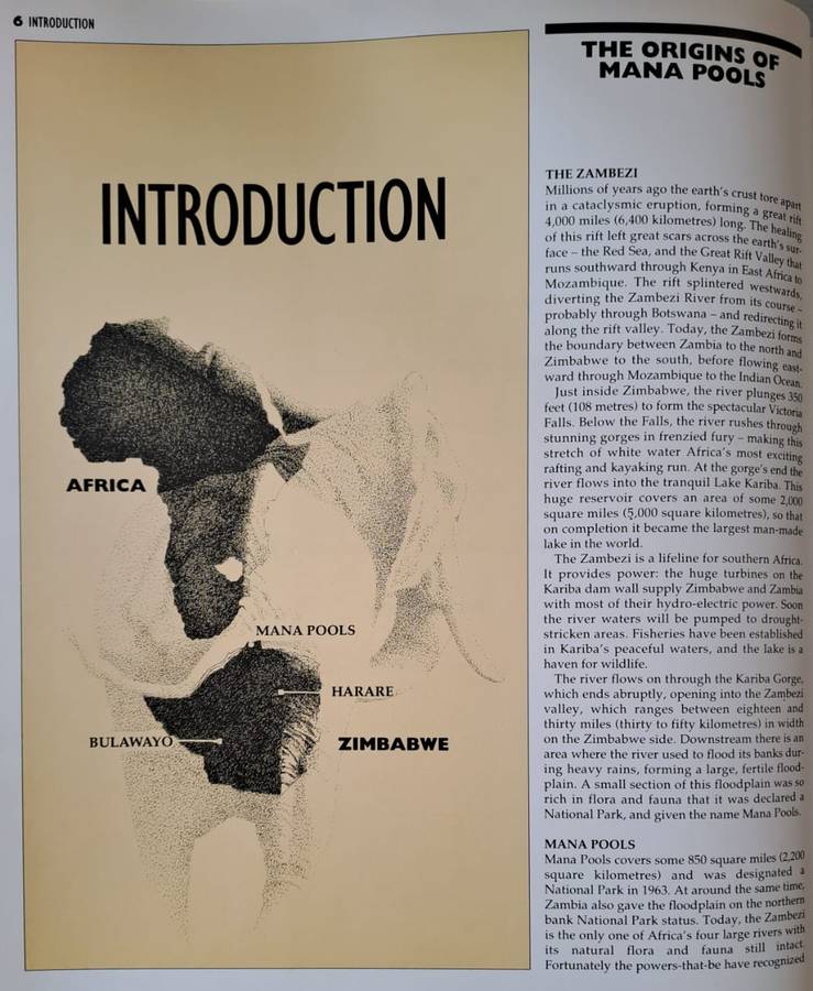 Wildlife at the Waterhole (African Seasons) - Craig Bone  :Hard Cover with DJ