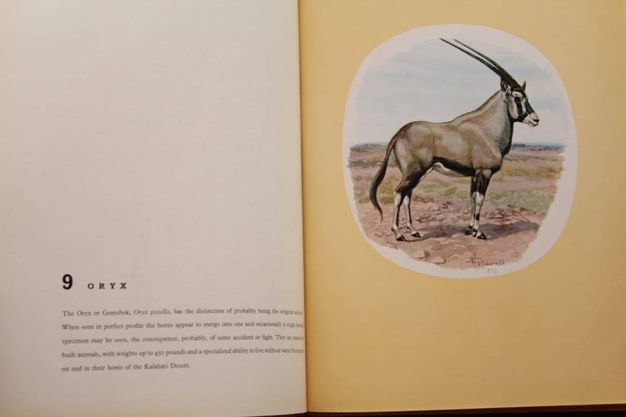 CALDWELL'S ANIMALS - WILLIAM FEHR (1962)