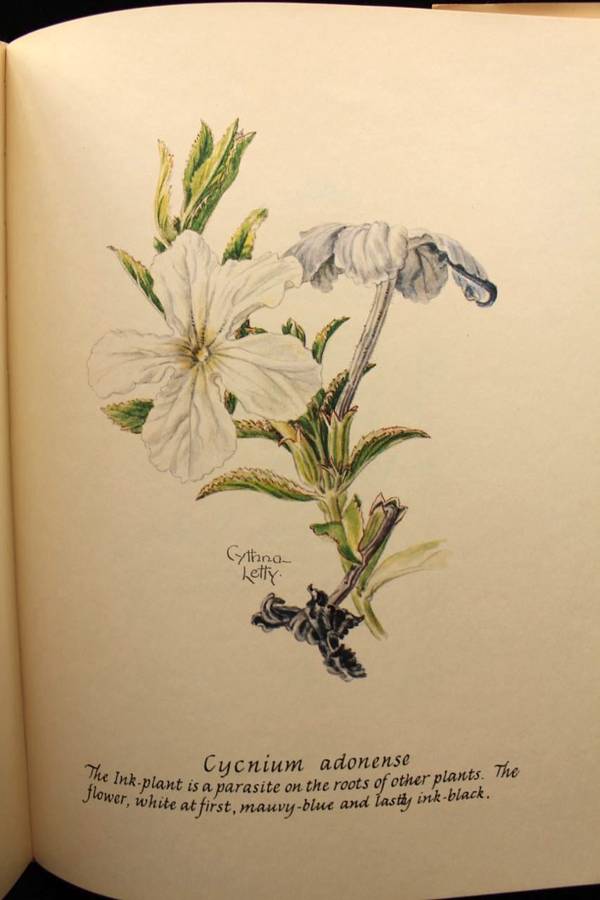 CHILDREN OF THE HOURS - CYTHNA LETTY - SIGNED