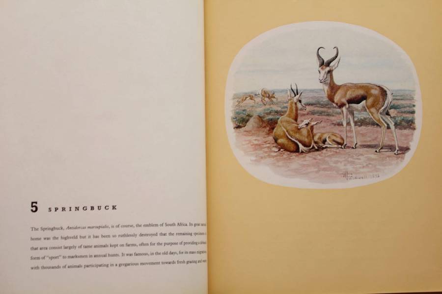 CALDWELL'S ANIMALS - WILLIAM FEHR (1962)